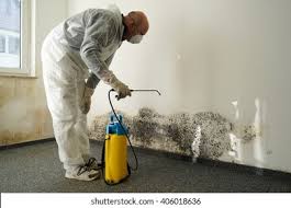 Mold Removal for HVAC Installations in Helena, MT